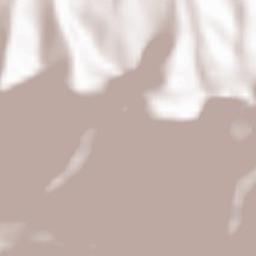 Dünserberg Terrain Map