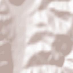 Rugășești Terrain Map