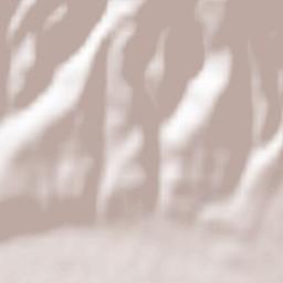 Susenii Bârgăului Terrain Map