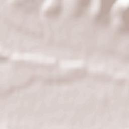 Nemțișor Terrain Map