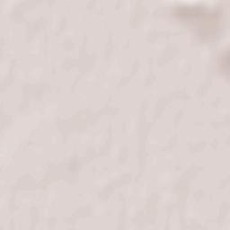 Timişeşti Terrain Map