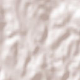 Puch bei Weiz Terrain Map