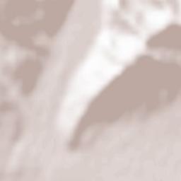 Comuna Petru Rareş Terrain Map