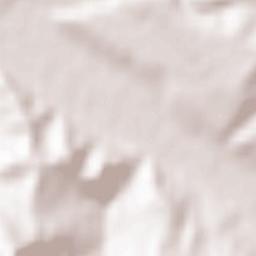 Bistriţa Bârgăului Terrain Map