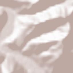 Comuna Borca Terrain Map