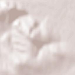 Vânători-Neamţ Terrain Map