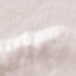 Dumbrava Terrain Map