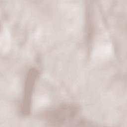 Bucovăţ Terrain Map