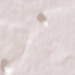 Bouguenais Terrain Map