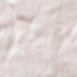 Fontevraud-l'Abbaye Terrain Map