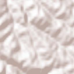 Pădurea Neagră Terrain Map