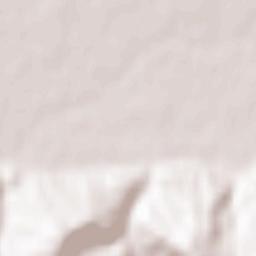 Comuna Braniştea Terrain Map