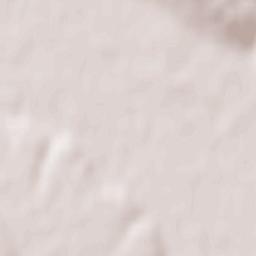 Şintereag Terrain Map