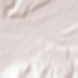 Livezile Terrain Map