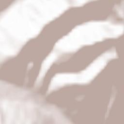 Fărcaşa Terrain Map