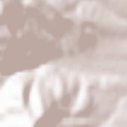 Filioara Terrain Map