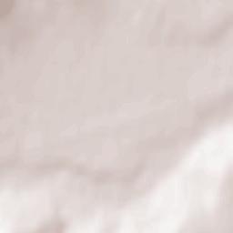 Petricani Terrain Map