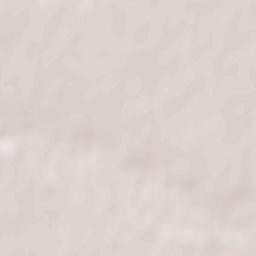 Păstrăveni Terrain Map