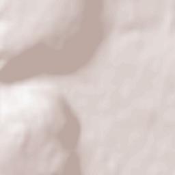 Nuits-Saint-Georges Terrain Map