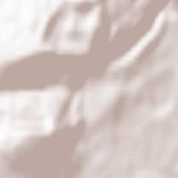 Orchamps-Vennes Terrain Map