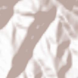 Reifling Terrain Map