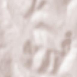 Popeşti Terrain Map