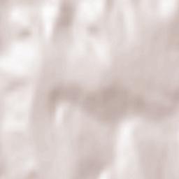 Păușești Terrain Map