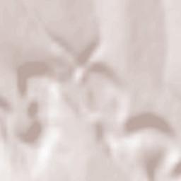 Ciorescu Terrain Map