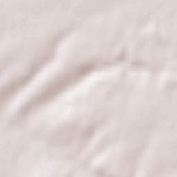 Sainte-Maure-de-Touraine Terrain Map