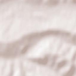 Comuna Paleu Terrain Map