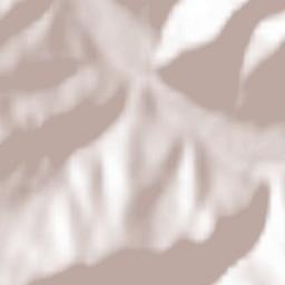 Comuna Poiana Teiului Terrain Map