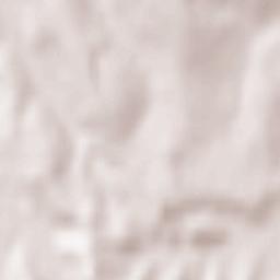 Horleşti Terrain Map