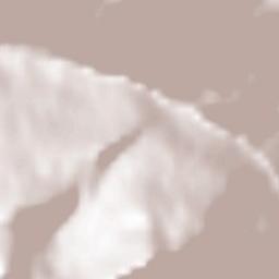 Silbertal Terrain Map