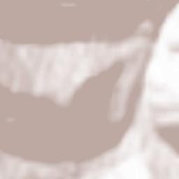 Sankt Blasen Terrain Map