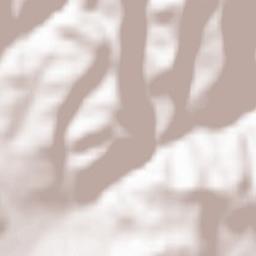 Oraș Aleşd Terrain Map