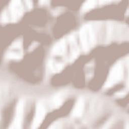 Comuna Hida Terrain Map