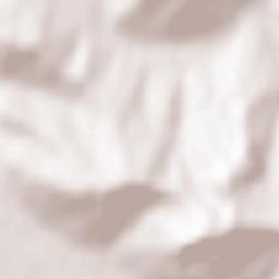 Dumitrița Terrain Map