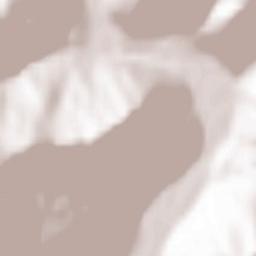 Poiana Teiului Terrain Map