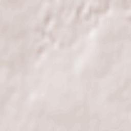 Saint-Lumine-de-Coutais Terrain Map