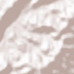 Heimiswil Terrain Map