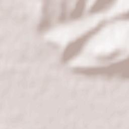 Municipiul Oradea Terrain Map