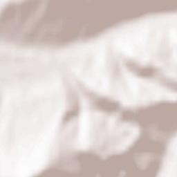 Budacu de Sus Terrain Map