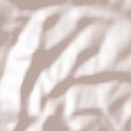 Poiana Crăcăoani Terrain Map