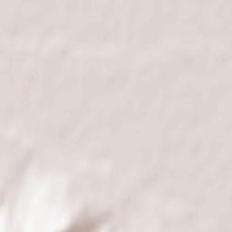 Măgeşti Terrain Map