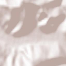 Fizeşu Gherlii Terrain Map