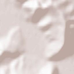 Lechinţa Terrain Map