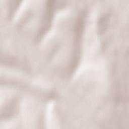 Negrești Terrain Map