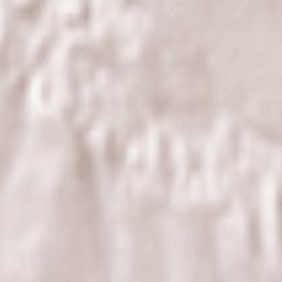 Dragomireşti Terrain Map