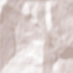 Domnița Terrain Map