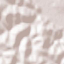 Loipersdorf bei Fürstenfeld Terrain Map